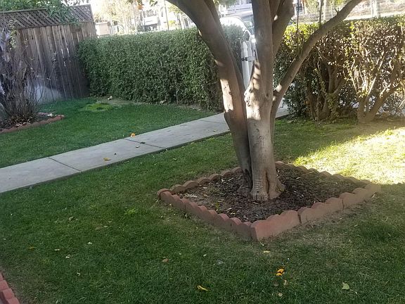 2nd image of 11680 Chandler Blvd