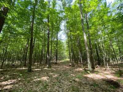 Dunndale Dr, Spruce, MI, 48762