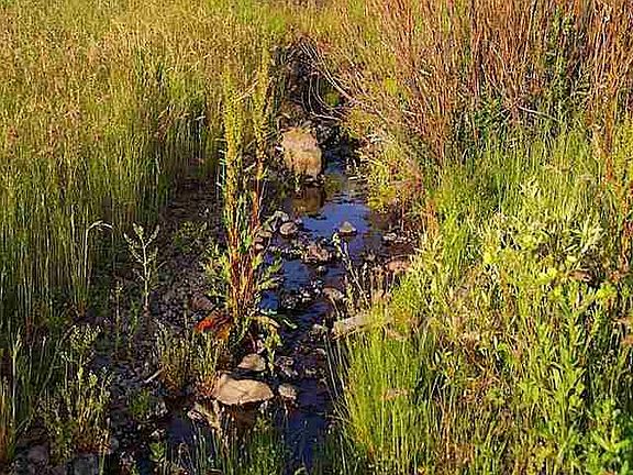5th image of Tbd Middle Fork Rd