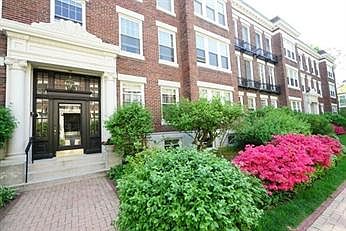 3rd image of 3 Bradford Ter APT 1