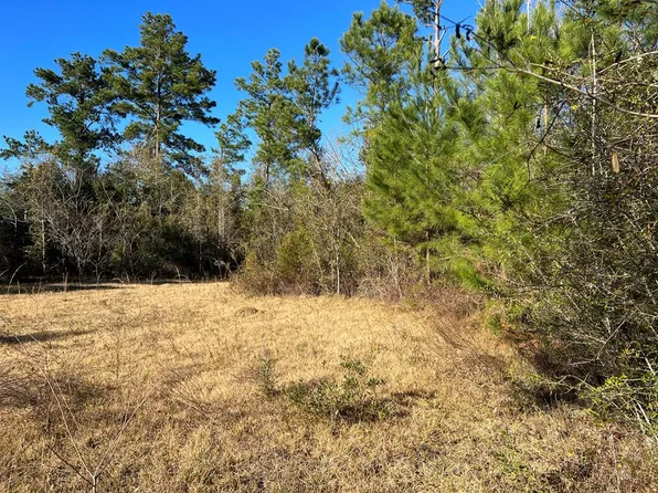 LOT 6 W Leary Dr, Wewahitchka, FL 32465