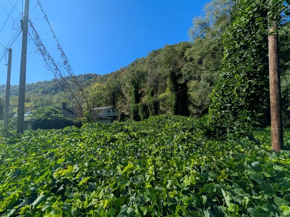 Riverside Dr, Grundy, VA 24614