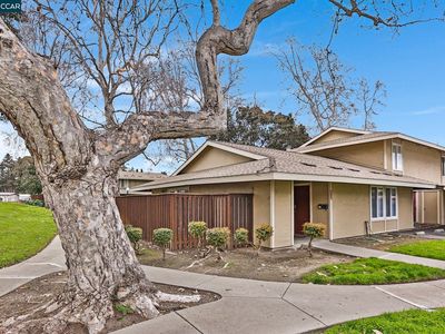 2071 Olivera Rd APT A, Concord, CA, 94520