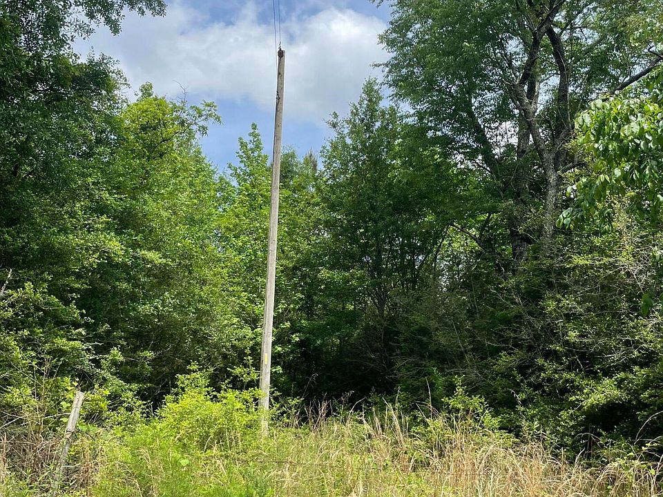2nd image of Two Miles Rd