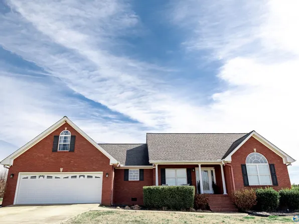 463 Thompson Ave, Rainsville, AL 35986