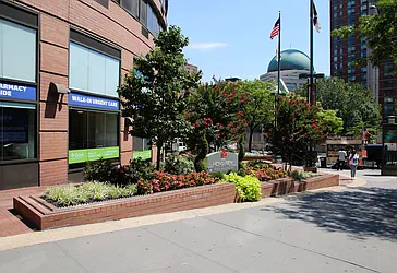 Rented by The Monterey