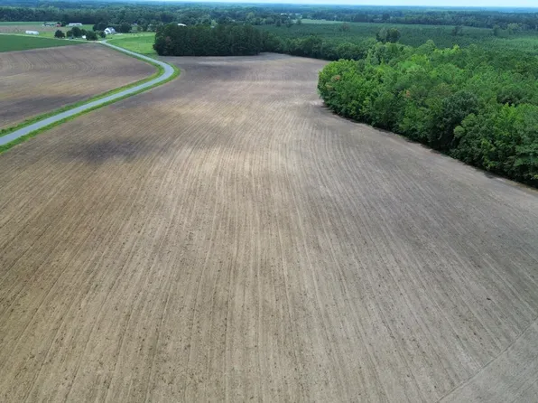 0 Blazing Trl Lot 3, Timmonsville, SC 29161