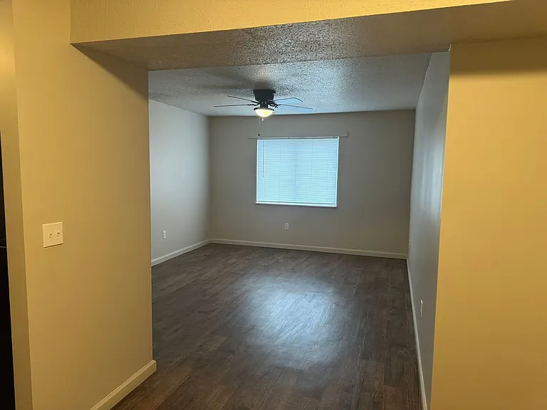 Pine Tree Apartments — Photo 5
