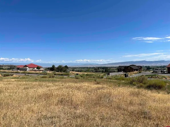 Lot 5 5950 Road, Montrose, CO 81403