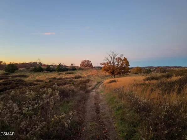 830 Hillside Dr, Dandridge, TN 37725