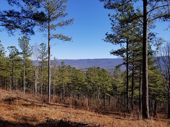 3rd image of 1465 County Road 609