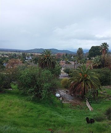 2nd image of 1450 Terracita Dr