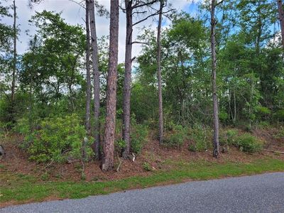 County Road 18 SW Lot 5, Fort White, FL, 32038
