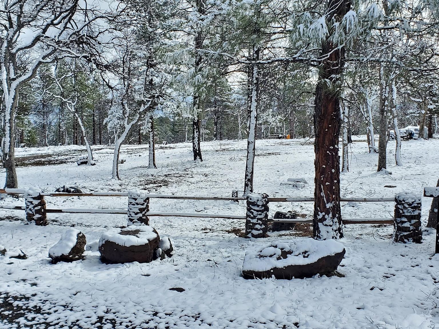 LOT 20 Shoshoni Loop, Fall River Mills, CA 96028 MLS 241445 Zillow