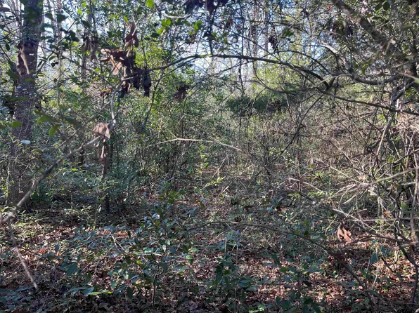 W Bent Bow Ln, Hawkins, TX 75765