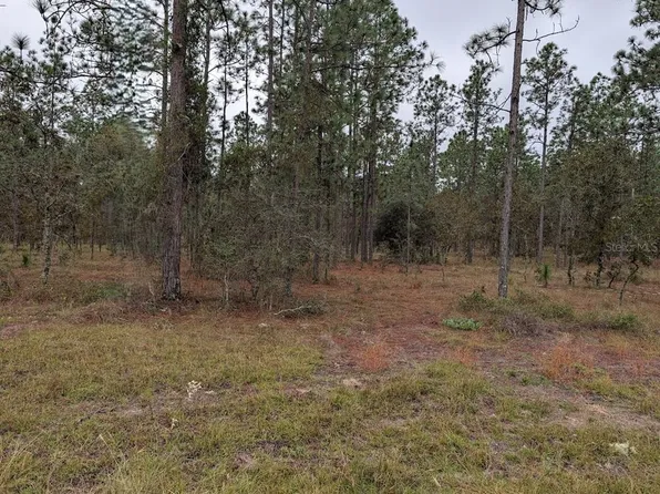 LOT 13 NW Geranium Ave #13, Dunnellon, FL 34431