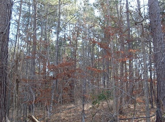 3rd image of LOT 12 Fm 19