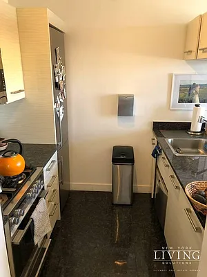 Rented by NY Living Solutions | media 3