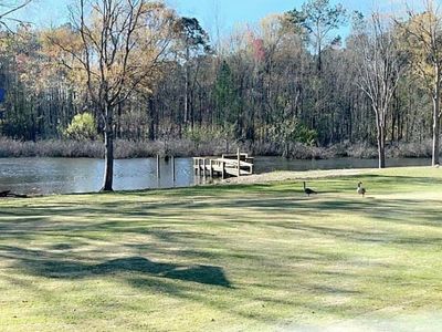 1221 Dove Ln, Summerton, SC, 29148