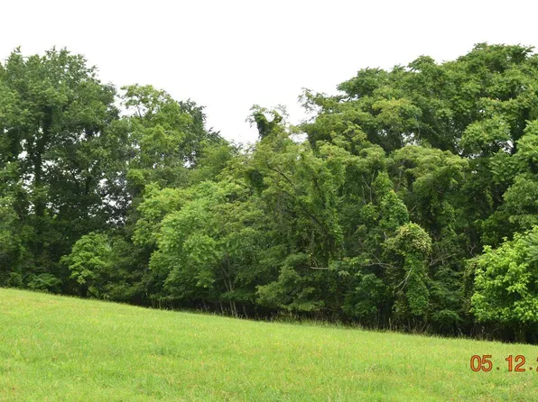 LOT 230 Harbor Dr, Mooresburg, TN 37811