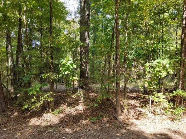 0 Little Bethel Rd, Cottontown, TN 37048