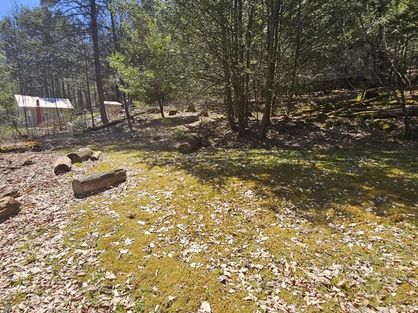 4 First Fork Rd, Sinnamahoning, PA 15861