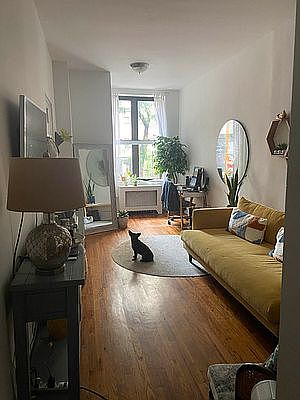1st image of 164 E 85th St APT 1E