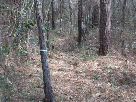 2nd image of Creek Rd Lot 10-RIVER