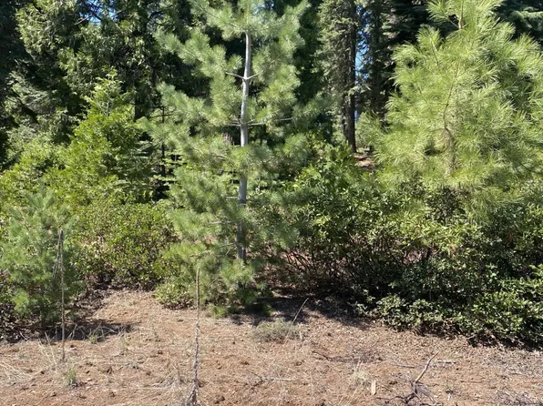 36 Winterwood Dr, Westwood, CA 96137