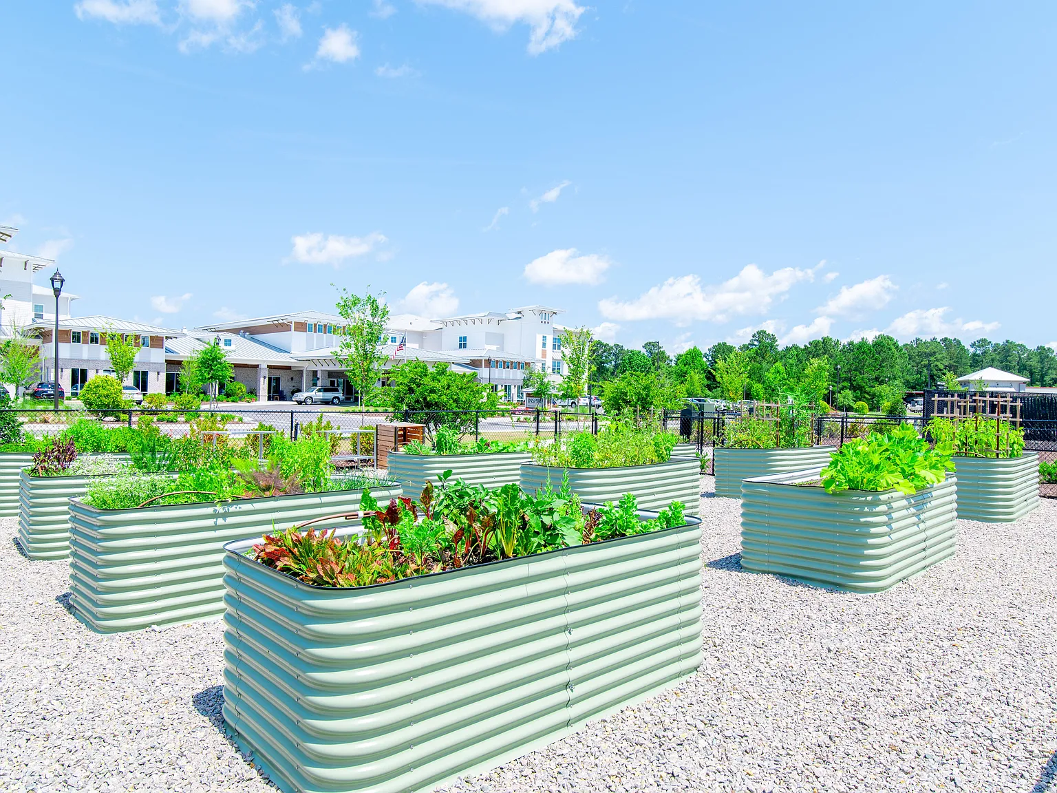 Inspire Brunswick Forest - 55+ Active Adult Community — Photo 3