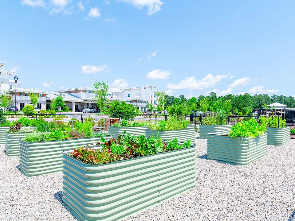 Community Garden