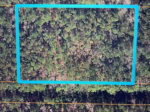 TBD Freewoods Rd. #Property is off Freewoods Rd, Myrtle Beach, SC 29588