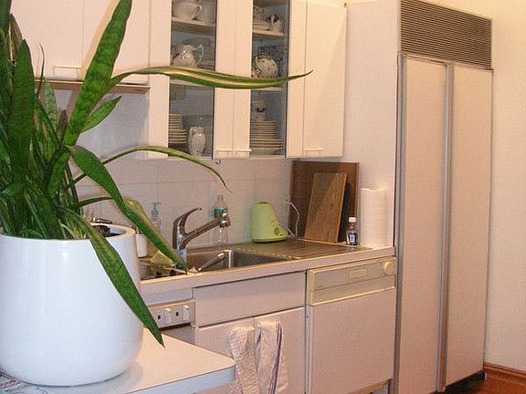 5th image of 310 E 81st St APT 3