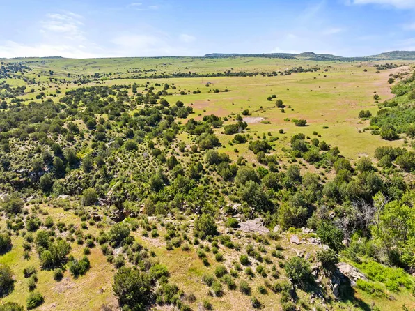 Tbd Pickney Rd, Rye, CO 81069