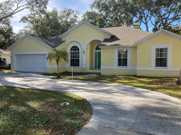 7407 Providence Rd, Riverview, FL 33578