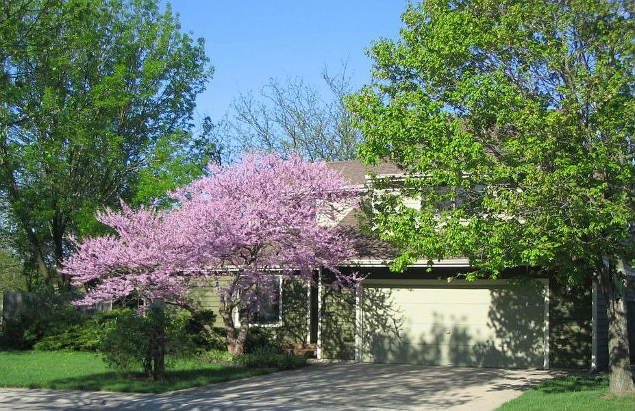 1513 Devonshire Ct photo 1