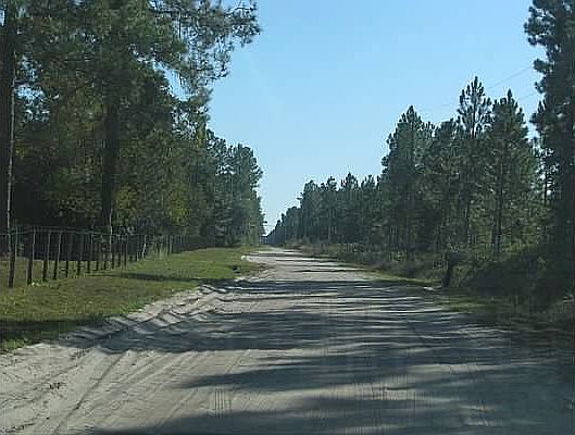 Road view 