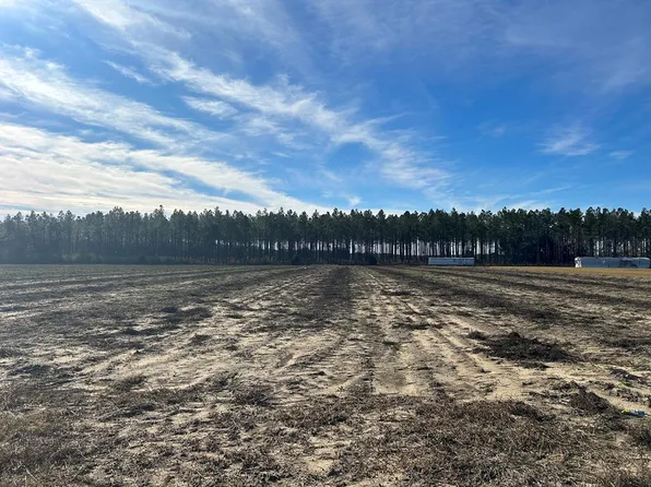 0 S Rocky Creek Rd, Cottonwood, AL 36320