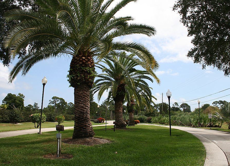 1st image of 11 Lake Vista Trl APT 103