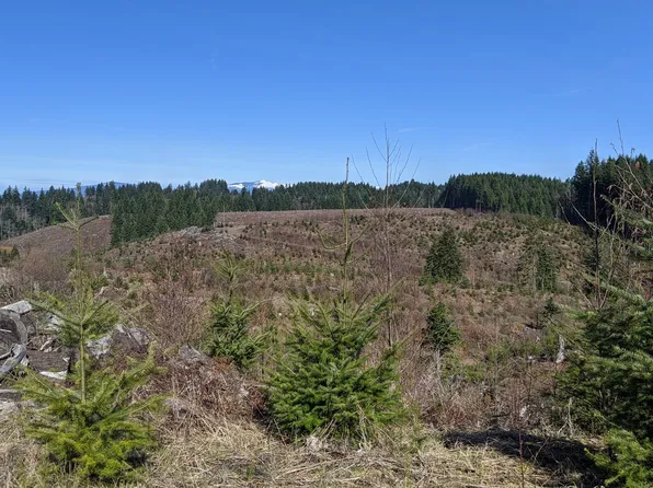 E Haines Rd, Corbett, OR 97019