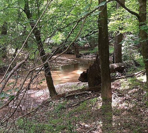 2nd image of 0 Pulliam Mill Rd