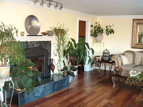 Front living room with 5" Brazilian cherry floor & custom gas fireplace