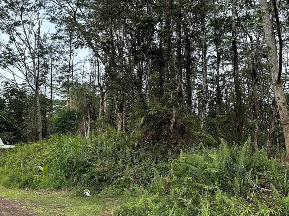 Colby Cir Lot 490, Pahoa, HI 96778