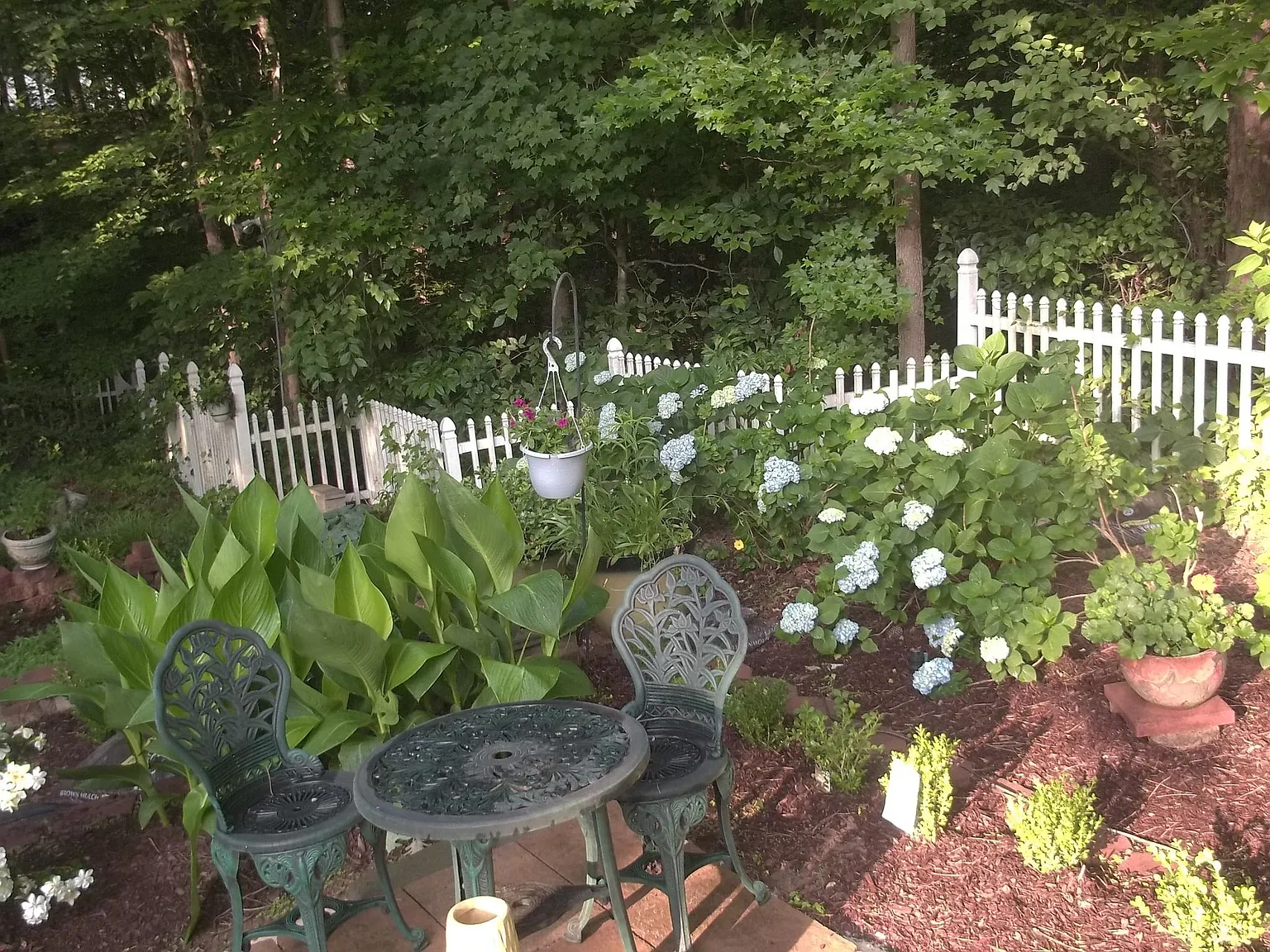 2 bed, 1000 sqft, $1,400 — Photo 3