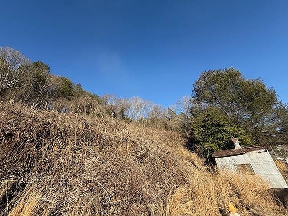 2nd image of LOT Main St