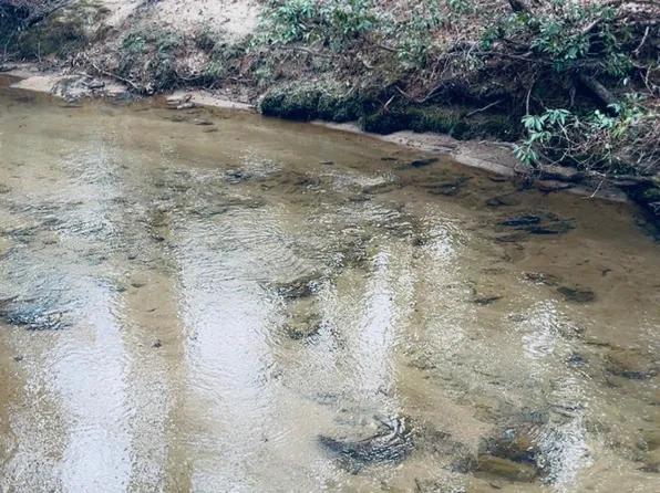 2421 Dogwood Vis, Lenoir, NC 28645