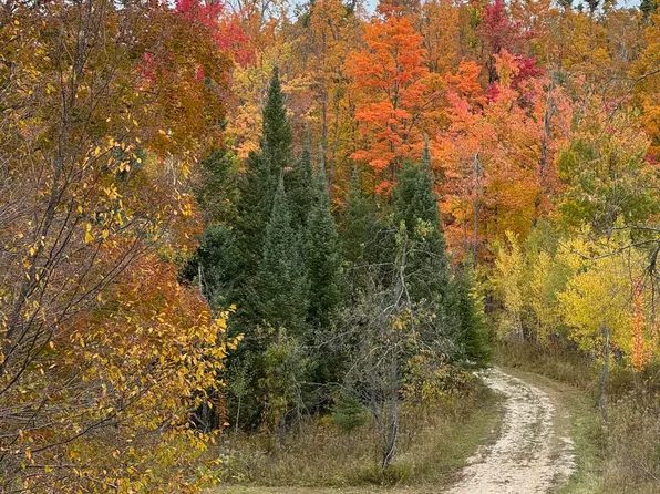 1722 McGregor Rd, Vanderbilt, MI 49795