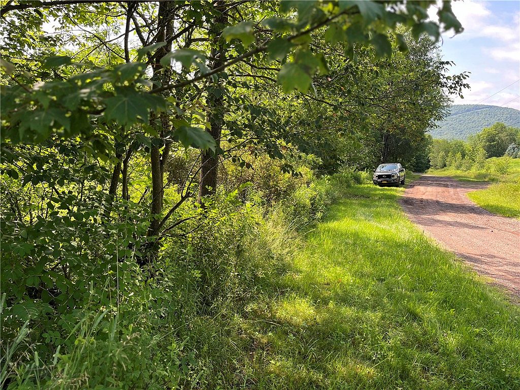 0 Lyon Mountain Rd, Hobart, NY 13788 Zillow