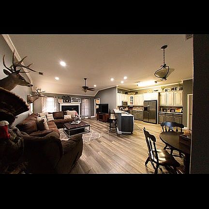 Open living and kitchen