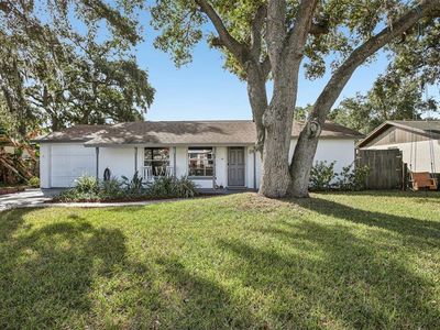 2767 Dovewood St, Clearwater, FL, 33759